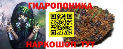 крисы Бугуруслан
