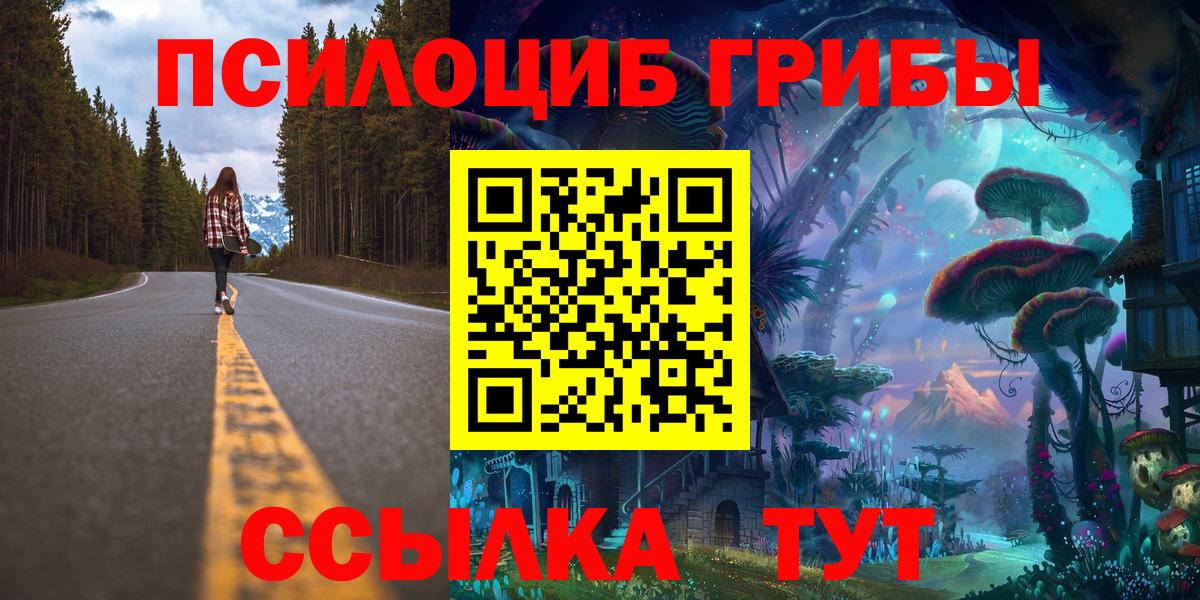 Псилоцибиновые грибы Magic Shrooms  Псилоцибиновые грибы прущие грибы  где можно купить наркотик  Вход с VPN  Петровск 