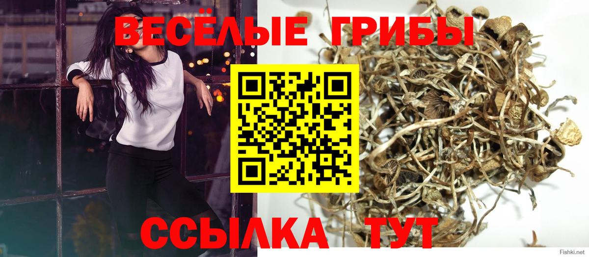 Галлюциногенные грибы мухоморы Петровск